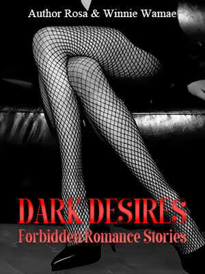 Beyond the Veil: Dark Desires and Secret Romances