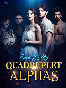 Mate to the Quads Alphas: Elena's Tormented Return