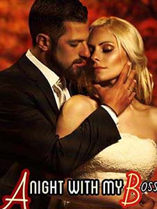 One Fateful Night with my Boss novel