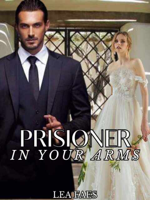Conspiracies Under the Wealthy Family Alliance: Prisoner In Your Arms novel Read the full article