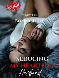Seducing my heartless husband read online