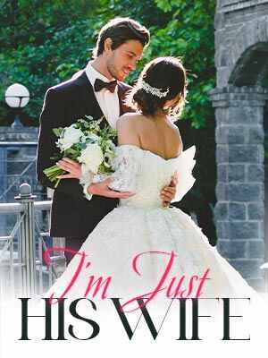 I'm Just His Wife novel Read online