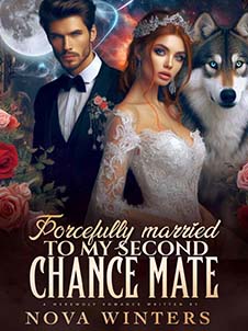 Forcefully married to my second chance mate novel read online